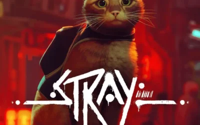 Stray Trainer