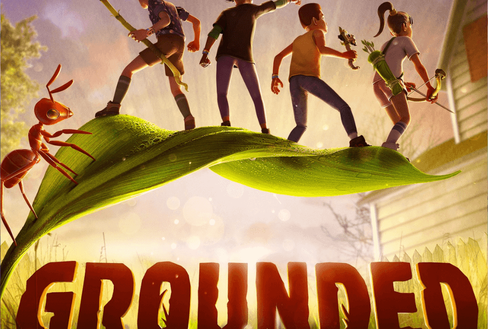Grounded Trainer