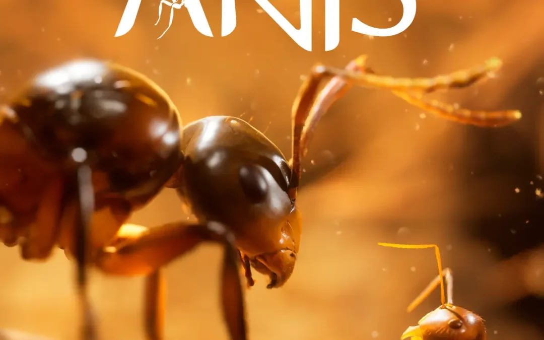 Empire of the Ants Trainer