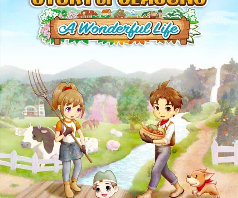 Story of Seasons: A Wonderful Life Trainer